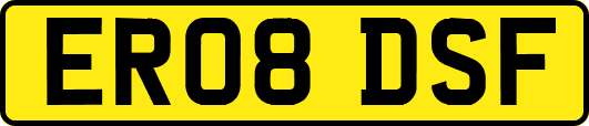 ER08DSF