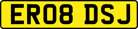 ER08DSJ