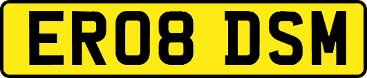 ER08DSM