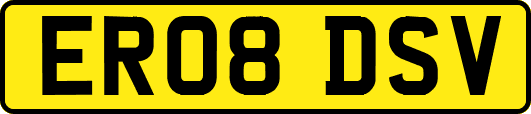 ER08DSV