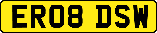 ER08DSW