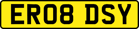 ER08DSY