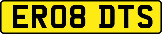 ER08DTS