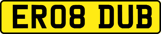 ER08DUB