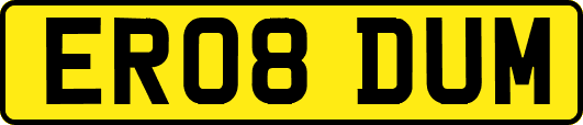 ER08DUM
