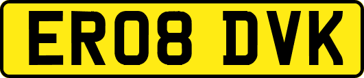 ER08DVK