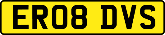 ER08DVS