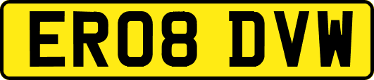 ER08DVW