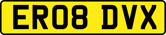 ER08DVX