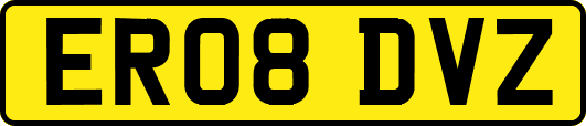ER08DVZ