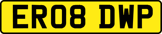 ER08DWP