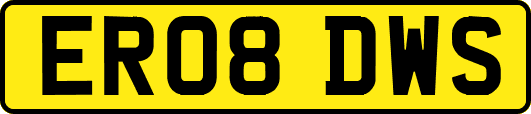 ER08DWS