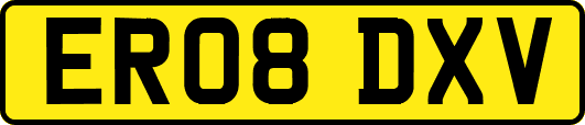 ER08DXV