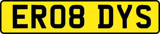 ER08DYS