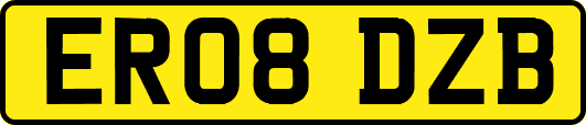 ER08DZB
