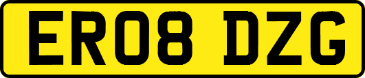 ER08DZG
