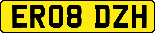 ER08DZH