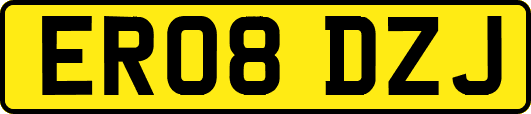 ER08DZJ