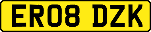 ER08DZK