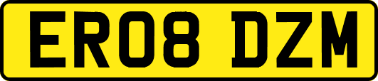 ER08DZM