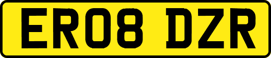 ER08DZR