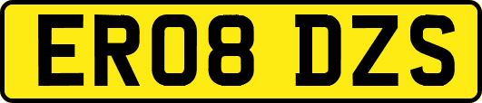 ER08DZS