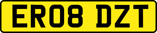 ER08DZT