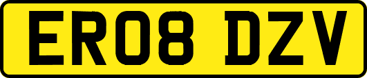 ER08DZV