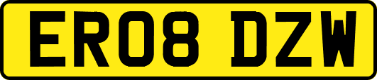 ER08DZW