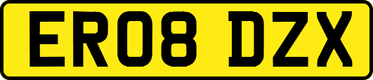 ER08DZX
