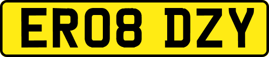 ER08DZY