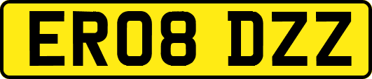 ER08DZZ