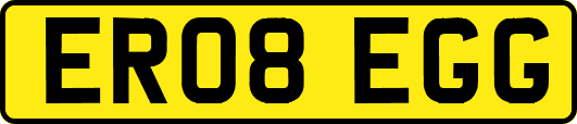 ER08EGG
