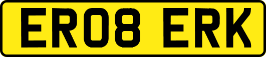 ER08ERK