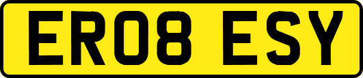 ER08ESY