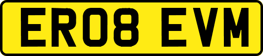 ER08EVM