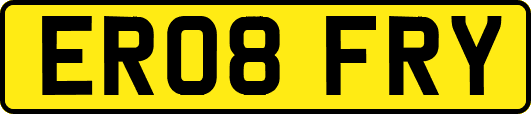 ER08FRY