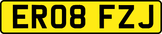 ER08FZJ