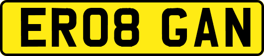 ER08GAN