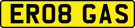 ER08GAS