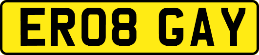 ER08GAY