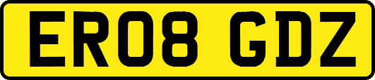 ER08GDZ