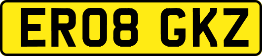ER08GKZ
