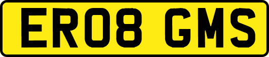 ER08GMS