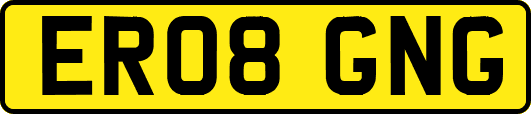 ER08GNG