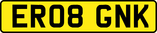 ER08GNK