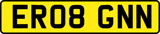 ER08GNN