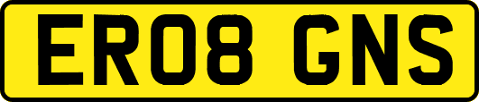 ER08GNS