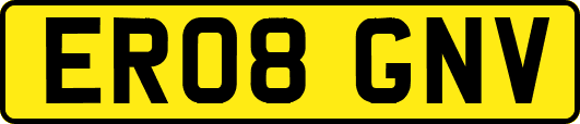 ER08GNV