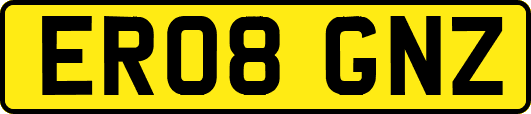 ER08GNZ